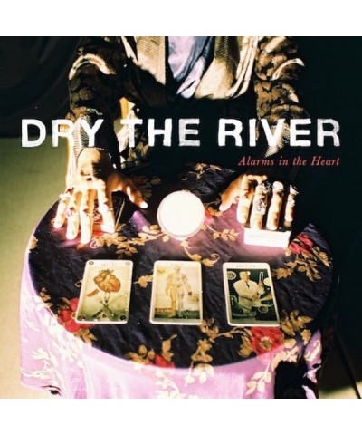 Dry the River Alarms In The Heart Vinyl Record $9.22 Vinyl