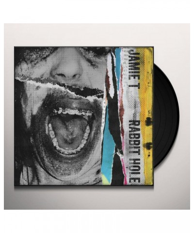 Jamie T RABBIT HOLE Vinyl Record - UK Release $11.51 Vinyl